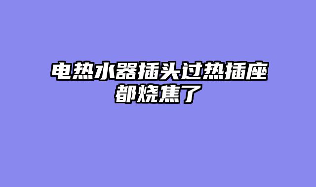 电热水器插头过热插座都烧焦了