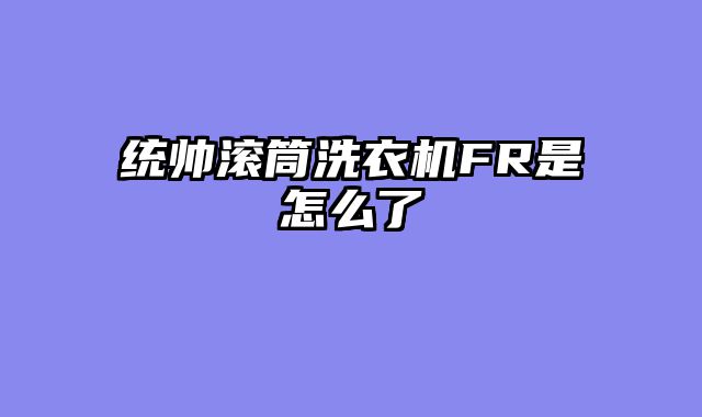 统帅滚筒洗衣机FR是怎么了