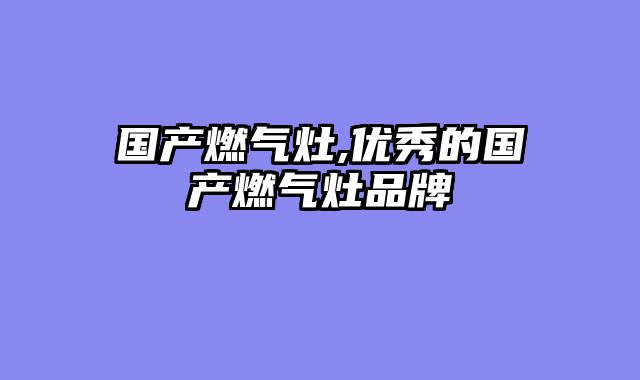 国产燃气灶,优秀的国产燃气灶品牌