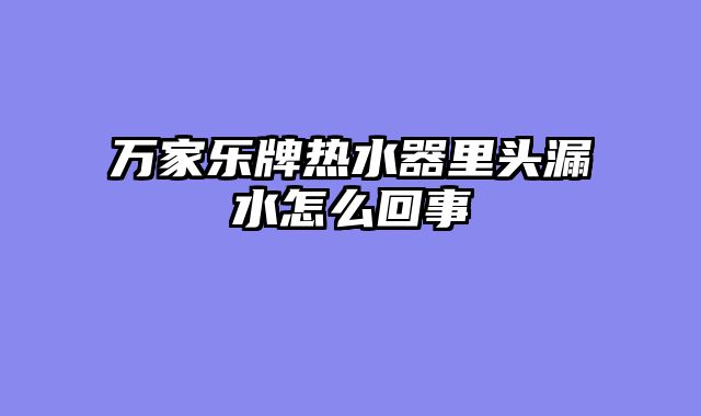 万家乐牌热水器里头漏水怎么回事