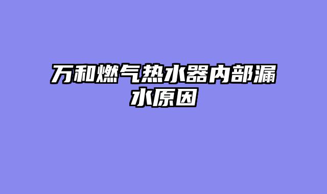 万和燃气热水器内部漏水原因