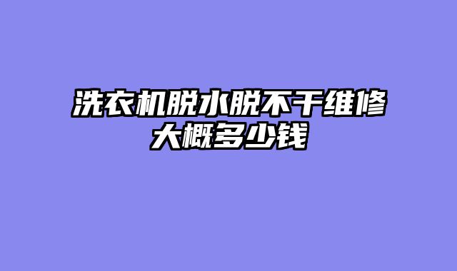 洗衣机脱水脱不干维修大概多少钱