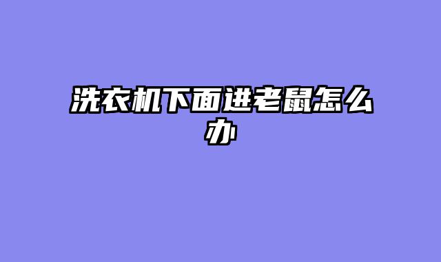 洗衣机下面进老鼠怎么办