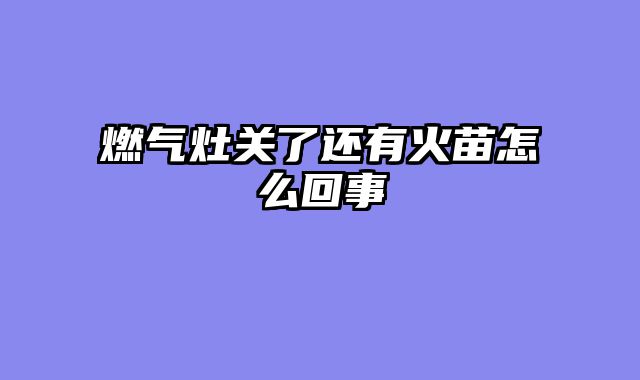 燃气灶关了还有火苗怎么回事