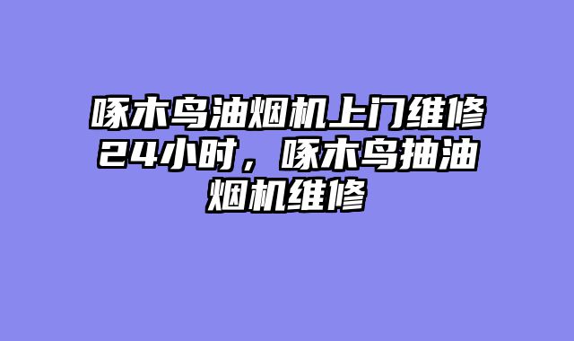 啄木鸟油烟机上门维修24小时，啄木鸟抽油烟机维修
