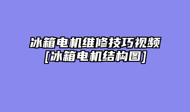 冰箱电机维修技巧视频[冰箱电机结构图]