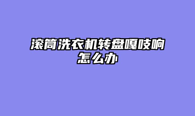 滚筒洗衣机转盘嘎吱响怎么办
