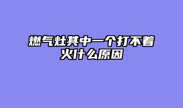 燃气灶其中一个打不着火什么原因