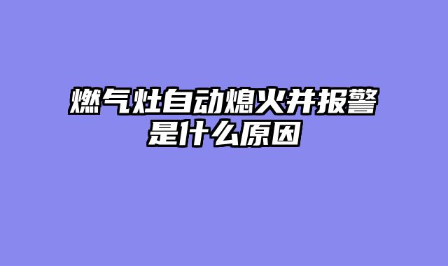 燃气灶自动熄火并报警是什么原因