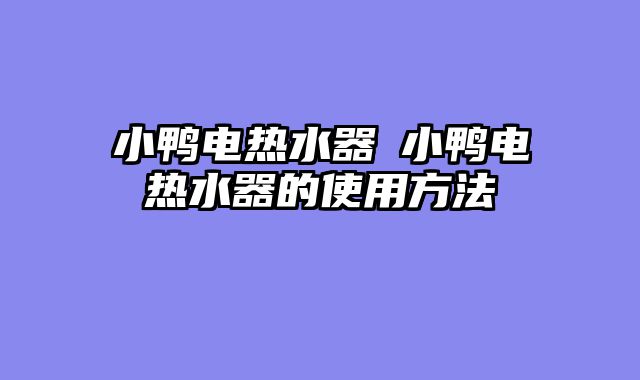 小鸭电热水器─小鸭电热水器的使用方法