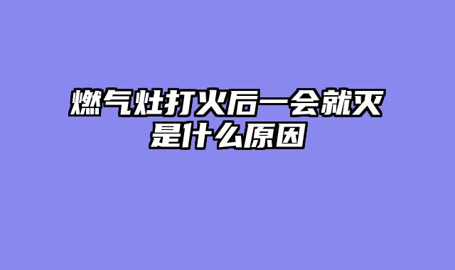 燃气灶打火后一会就灭是什么原因