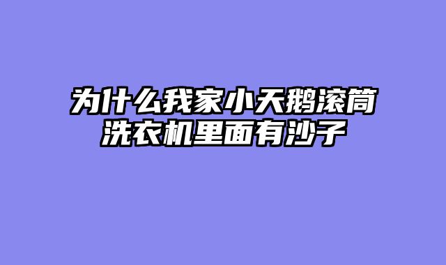 为什么我家小天鹅滚筒洗衣机里面有沙子