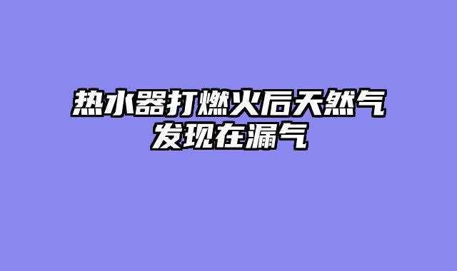 热水器打燃火后天然气发现在漏气