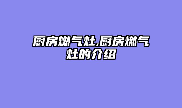 厨房燃气灶,厨房燃气灶的介绍