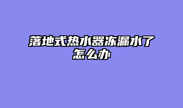 落地式热水器冻漏水了怎么办