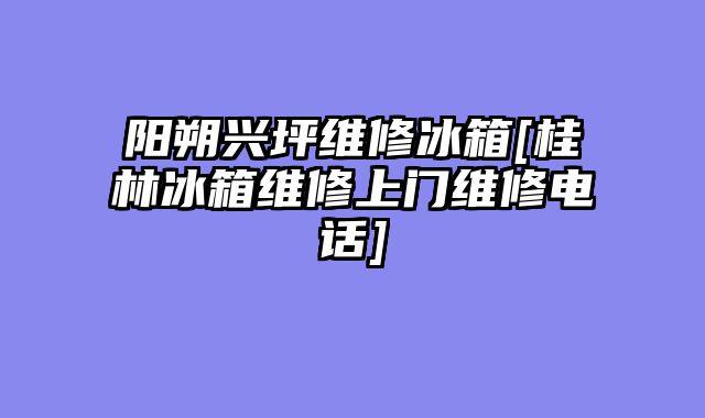 阳朔兴坪维修冰箱[桂林冰箱维修上门维修电话]