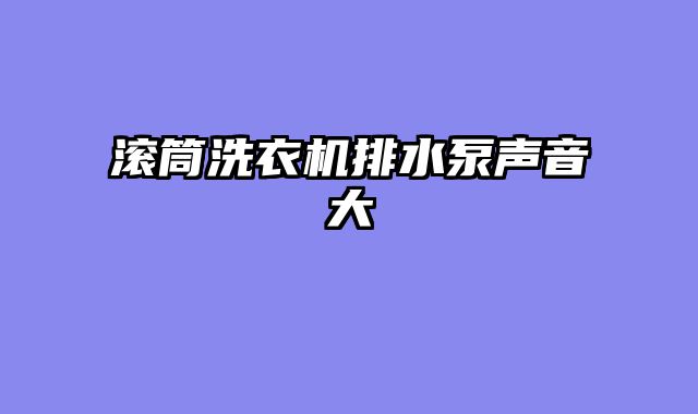 滚筒洗衣机排水泵声音大