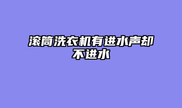 滚筒洗衣机有进水声却不进水