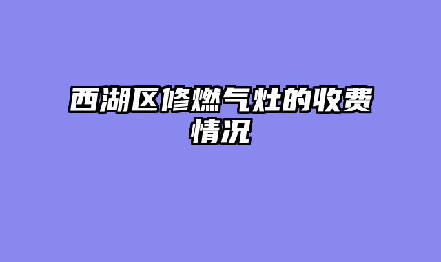 西湖区修燃气灶的收费情况