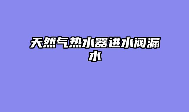 天然气热水器进水阀漏水