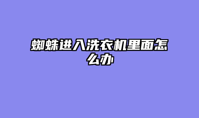 蜘蛛进入洗衣机里面怎么办