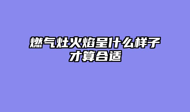 燃气灶火焰呈什么样子才算合适