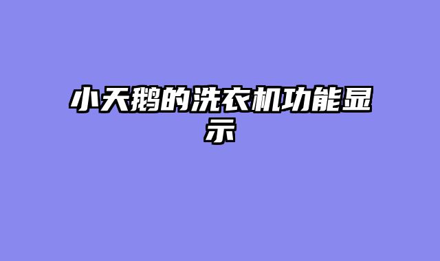小天鹅的洗衣机功能显示