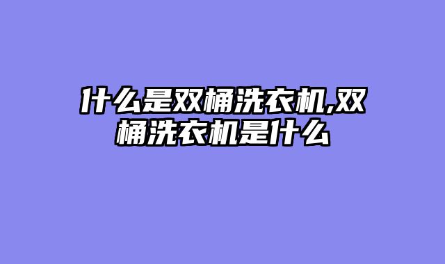 什么是双桶洗衣机,双桶洗衣机是什么