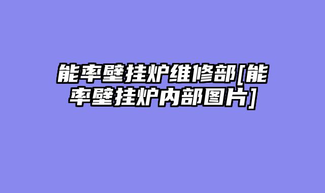 能率壁挂炉维修部[能率壁挂炉内部图片]