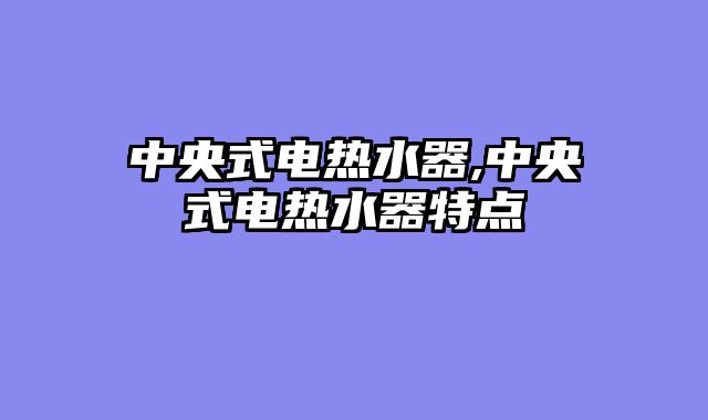 中央式电热水器,中央式电热水器特点