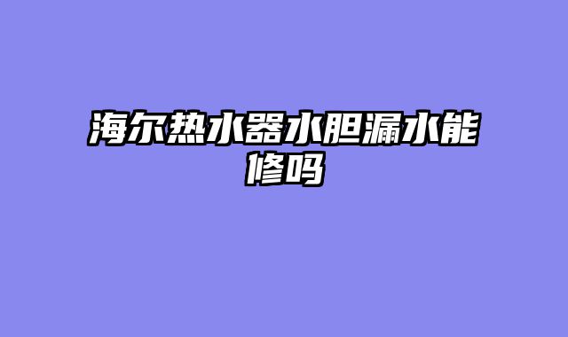 海尔热水器水胆漏水能修吗