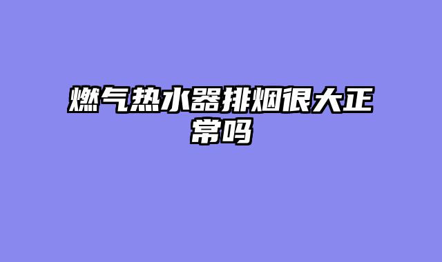 燃气热水器排烟很大正常吗