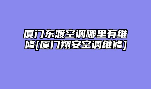 厦门东渡空调哪里有维修[厦门翔安空调维修]