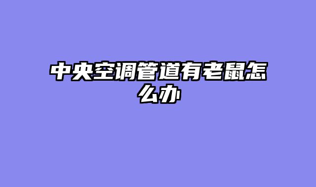 中央空调管道有老鼠怎么办