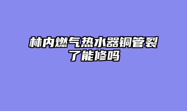 林内燃气热水器铜管裂了能修吗