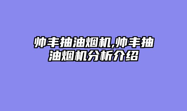帅丰抽油烟机,帅丰抽油烟机分析介绍