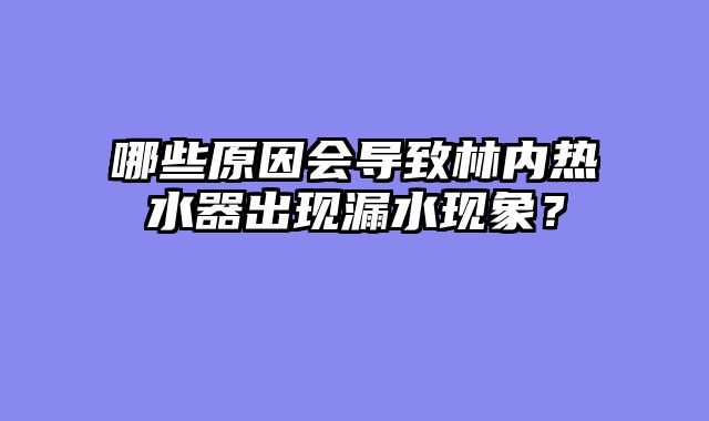哪些原因会导致林内热水器出现漏水现象？