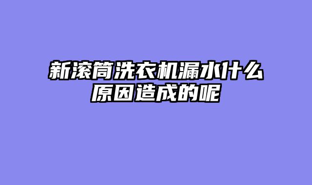 新滚筒洗衣机漏水什么原因造成的呢