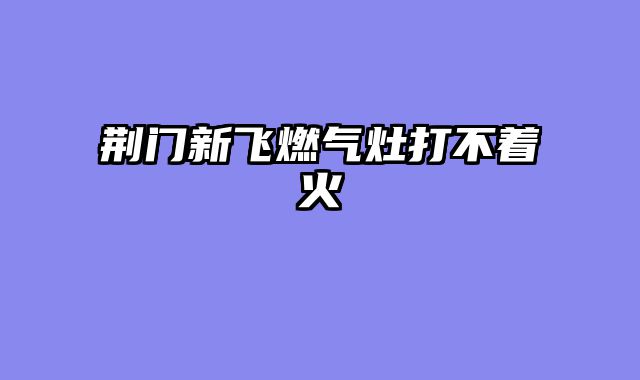 荆门新飞燃气灶打不着火