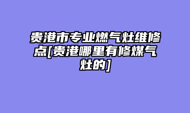 贵港市专业燃气灶维修点[贵港哪里有修煤气灶的]