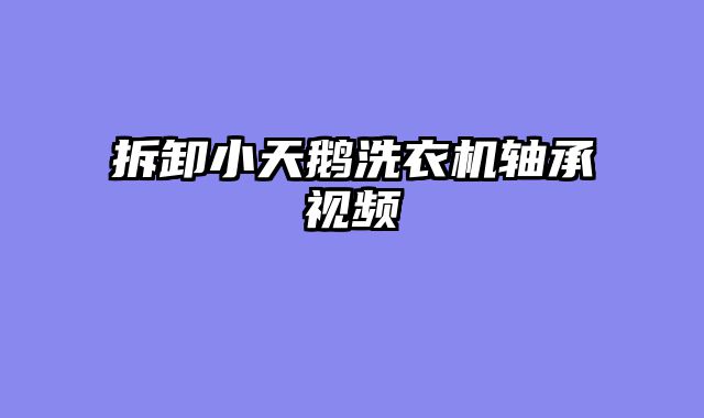拆卸小天鹅洗衣机轴承视频