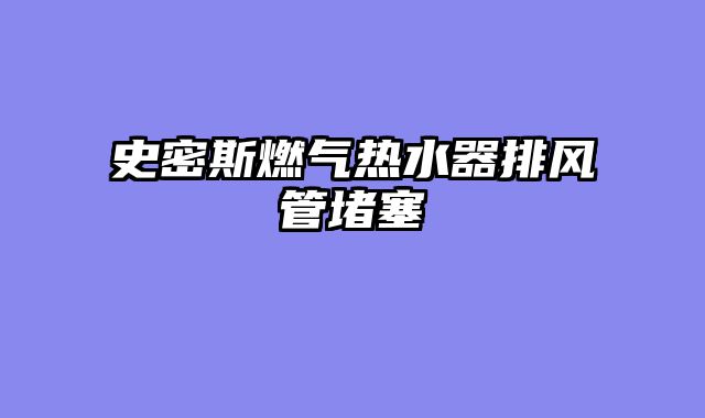史密斯燃气热水器排风管堵塞