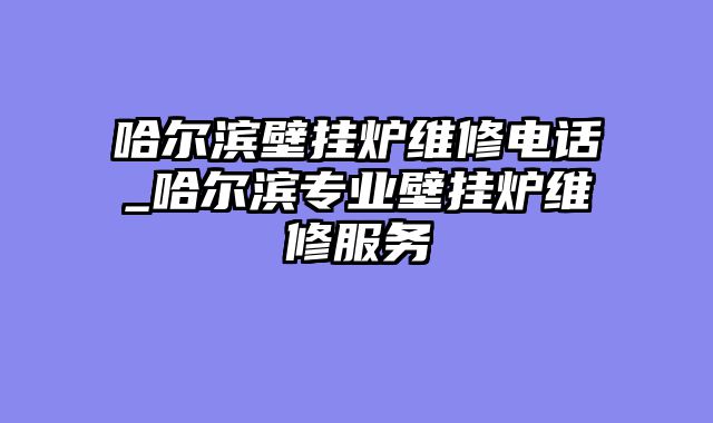 哈尔滨壁挂炉维修电话_哈尔滨专业壁挂炉维修服务