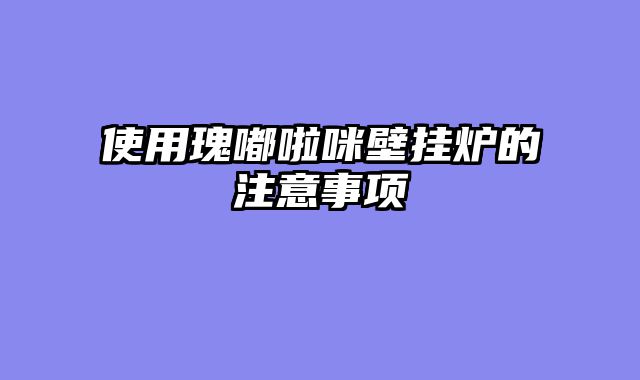 使用瑰嘟啦咪壁挂炉的注意事项