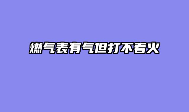 燃气表有气但打不着火