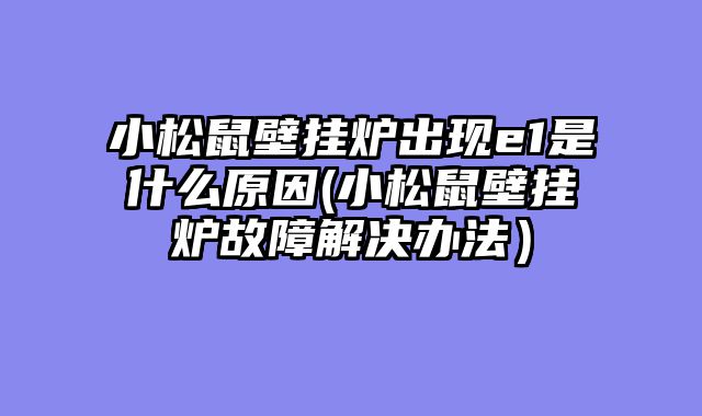 小松鼠壁挂炉出现e1是什么原因(小松鼠壁挂炉故障解决办法）