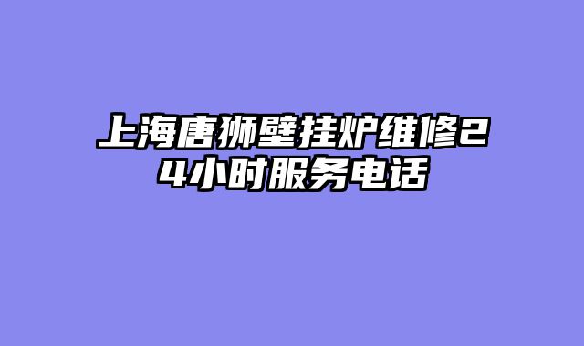 上海唐狮壁挂炉维修24小时服务电话