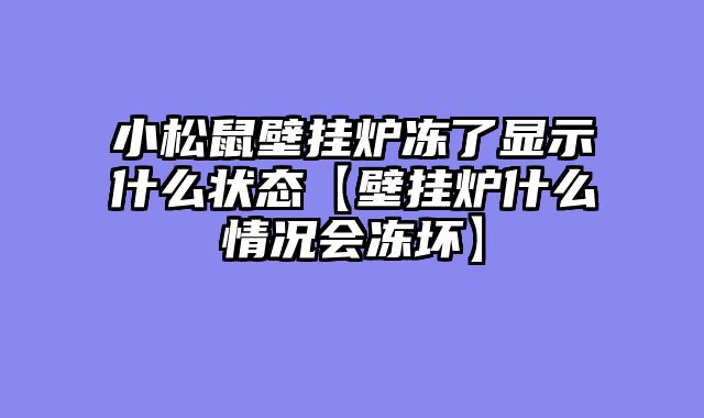 小松鼠壁挂炉冻了显示什么状态【壁挂炉什么情况会冻坏】
