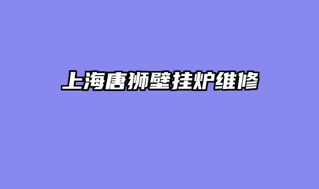 上海唐狮壁挂炉维修
