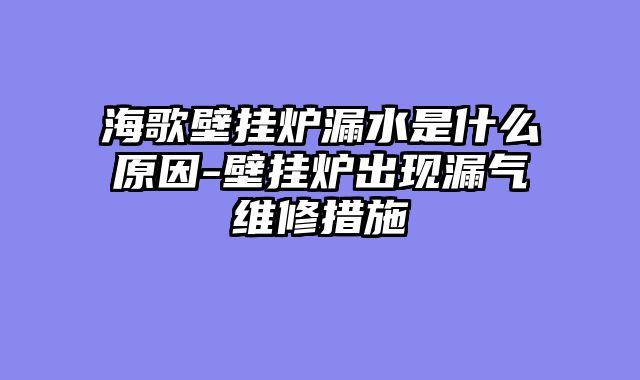 海歌壁挂炉漏水是什么原因-壁挂炉出现漏气维修措施
